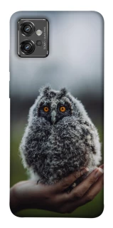 Чехол на Motorola Moto G32 Совёнок фото 1 из 1