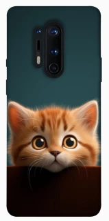 Чохол на OnePlus 8 Pro Чохол Кошеня фото 1 з 1