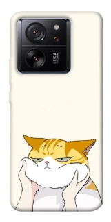Чехол на Xiaomi 13T Cat bun фото 1 из 1