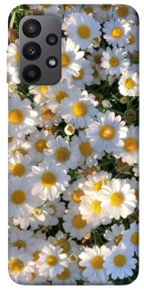 Чохол на Samsung Galaxy A23 4G Поле ромашок фото 1 з 1