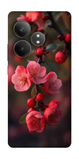 Чохол на Realme GT Neo 6 Flowers v28 фото 1 з 1