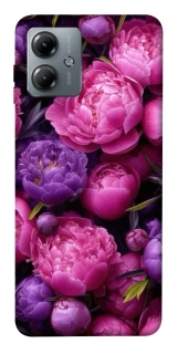 Чохол на Motorola Moto G14 Garden2 фото 1 з 1