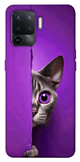Чохол на Oppo Reno 5 Lite Кіт-підглядач фото 1 з 1