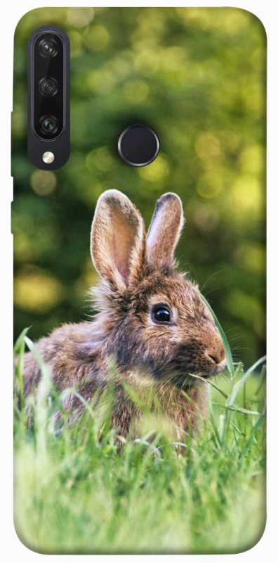 Чехол на Huawei Y6p Кролики фото 1 из 1