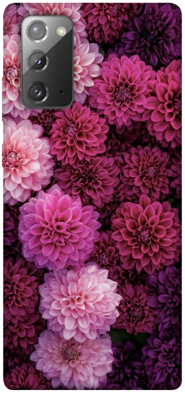 Чехол на Samsung Galaxy Note 20 Garden1 фото 1 из 1