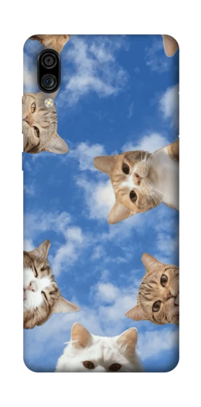 Чохол на ZTE Blade A5 (2020) Сats фото 1 з 1