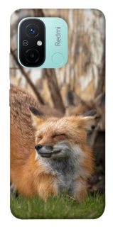 Чохол на Xiaomi Redmi 12C / Poco C55 Лисиця фото 1 з 1