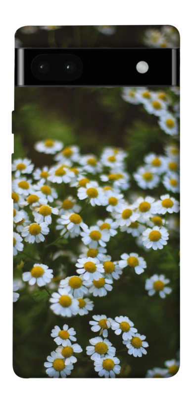 Чехол на Google Pixel 6a Ромашки v13 фото 1 из 1