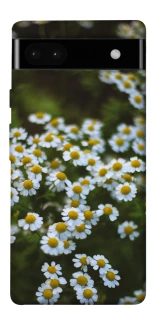 Чехол на Google Pixel 6a Ромашки v13 фото 1 из 1