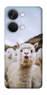 Чохол на OnePlus Nord 3 Лама фото 1 з 1
