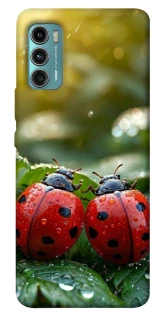 Чохол на Motorola Moto G60 Flowers v23 фото 1 з 1