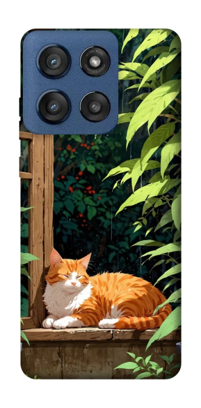 Чохол на Motorola Edge 60 Stylus red cat фото 1 з 1