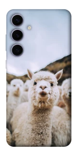 Чохол на Samsung Galaxy S25+ Лама фото 1 з 1