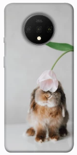 Чохол на OnePlus 7T Bunny фото 1 з 1