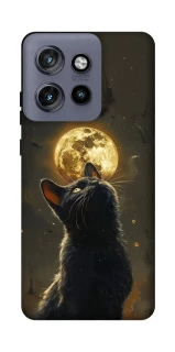 Чехол на Motorola Edge 50 Neo Кот под луной v2 фото 1 из 1