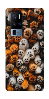 Чехол на Vivo X50 Pro+ Сat paws фото 1 из 1