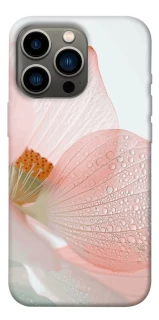 Чехол на Apple iPhone 13 Pro (6.1") Flowers zon фото 1 из 1