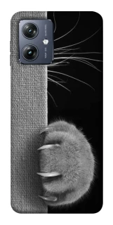 Чохол на Motorola Moto G54 Spy Cat фото 1 з 1