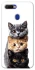 Чохол на Oppo A5s Гарні котики фото 1 з 1