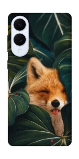 Чехол на Samsung Galaxy S25 Edge Fox фото 1 из 1