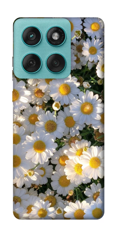 Чохол на Motorola Edge 60 Fusion Поле ромашок фото 1 з 1