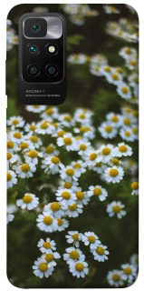 Чехол на Xiaomi Redmi 10 Ромашки v13 фото 1 из 1