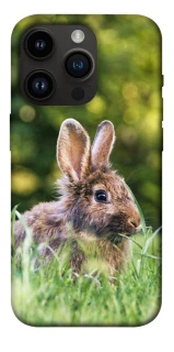 Чехол на Apple iPhone 14 Pro (6.1") Кролики фото 1 из 1