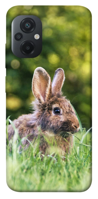 Чехол на Xiaomi Poco M5 Кролики фото 1 из 1