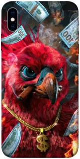 Чохол на Apple iPhone X (5.8") Папуга фото 1 з 1