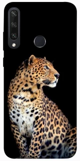 Чохол на Huawei Y6p Leopard v2 фото 1 з 1