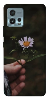 Чехол на Motorola Moto G72 Ромашка v4 фото 1 из 1