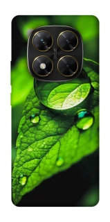 Чохол на Xiaomi Poco X7 Flowers v16 фото 1 з 1