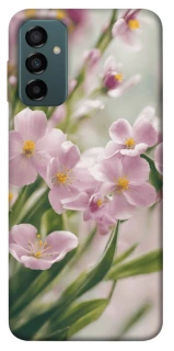Чехол на Samsung Galaxy M23 5G Spring фото 1 из 1