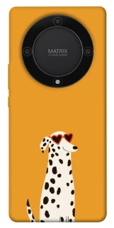 Чохол на Huawei Magic5 Lite Далматинець фото 1 з 1