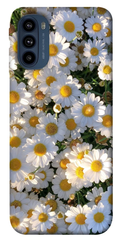 Чохол на Motorola Moto G41 Поле ромашок фото 1 з 1