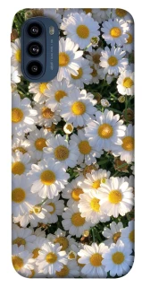 Чохол на Motorola Moto G41 Поле ромашок фото 1 з 1