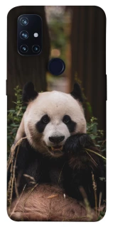 Чохол на OnePlus Nord N10 5G Панда фото 1 з 1