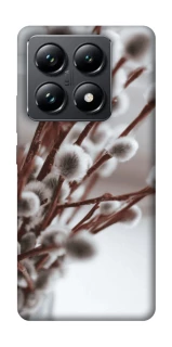 Чехол на Xiaomi 14T Pro Magic фото 1 из 1