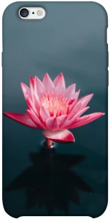 Чехол на Apple iPhone 6/6s plus (5.5") Лотос фото 1 из 1