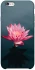 Чехол на Apple iPhone 6/6s plus (5.5") Лотос фото 1 из 1