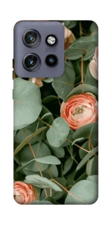 Чохол на Motorola Edge 50 Neo Eternal Spring фото 1 з 1