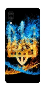 Чохол на ZTE Blade A5 (2020) Герб v16 фото 1 з 1