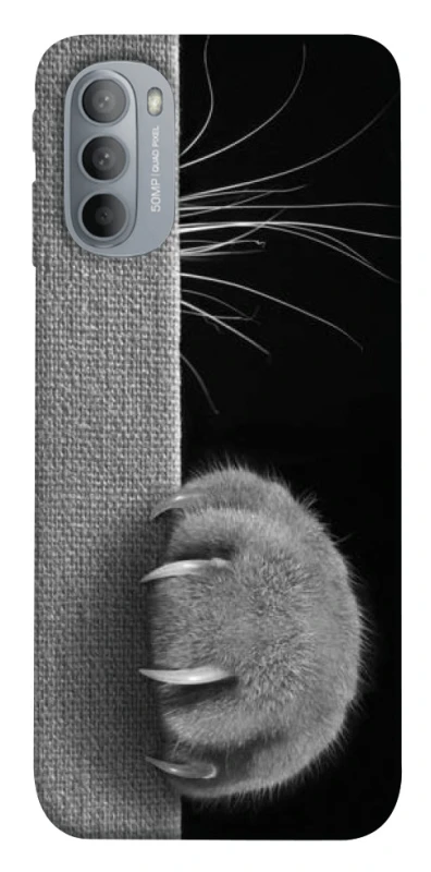 Чехол на Motorola Moto G31 Spy Cat фото 1 из 1