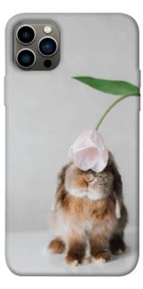 Чохол на Apple iPhone 12 Pro (6.1") Bunny фото 1 з 1