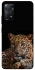 Чохол на Xiaomi Redmi Note 11 Pro 4G/5G Leopard v4 фото 1 з 1