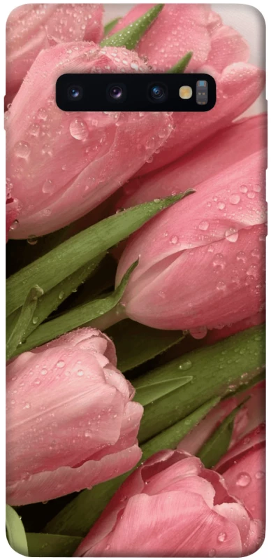 Чохол на Samsung Galaxy S10+ Beauty фото 1 з 1