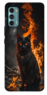 Чехол на Motorola Moto G60 Огненный кот фото 1 из 1