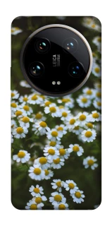 Чохол на Xiaomi 14 Ultra Ромашки v13 фото 1 з 1