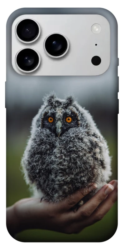 Чехол на Apple iPhone 17 Pro Max (6.9") Совёнок фото 1 из 1