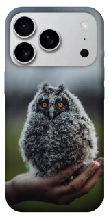 Чехол на Apple iPhone 17 Pro Max (6.9") Совёнок фото 1 из 1